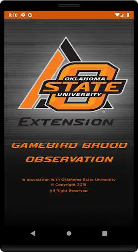 Play Gamebird Brood Observation  and enjoy Gamebird Brood Observation with UptoPlay