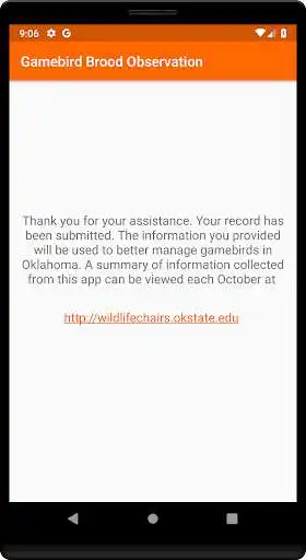 Play Gamebird Brood Observation as an online game Gamebird Brood Observation with UptoPlay