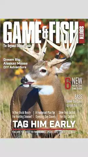 Play Game  Fish Magazine  and enjoy Game  Fish Magazine with UptoPlay