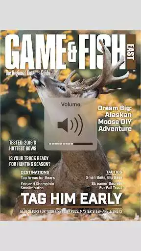 Play Game  Fish Magazine as an online game Game  Fish Magazine with UptoPlay