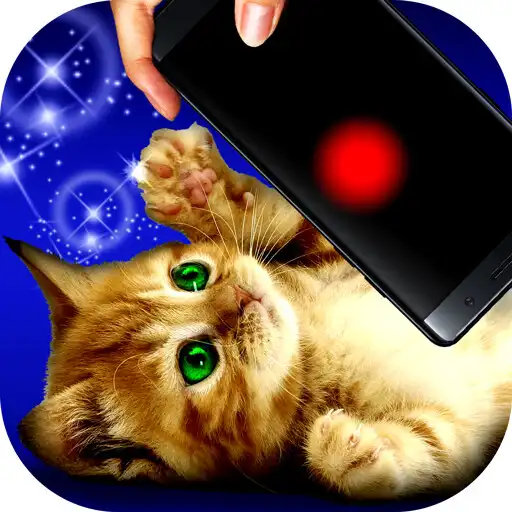 Play Game for cats! APK Play Game for cats! APK