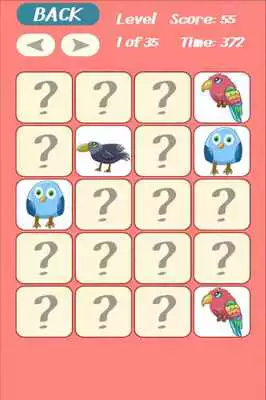Play Game for Girls - Birds