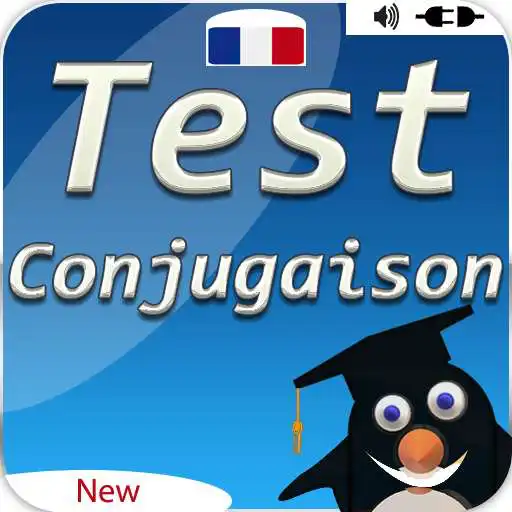 Free play online Game french conjugation: learn french conjugation APK