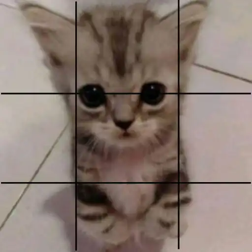 Play Game Kucing Menarik APK