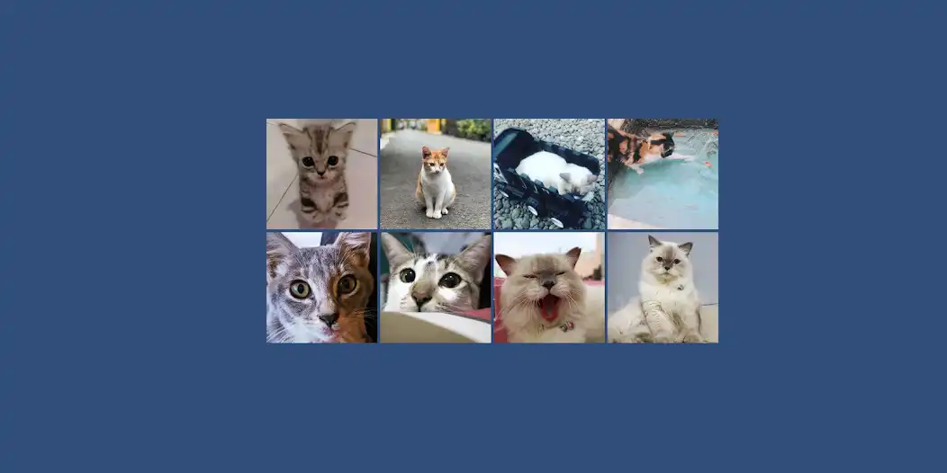 Play Game Kucing Menarik and enjoy Game Kucing Menarik with UptoPlay Play Game Kucing Menarik and enjoy Game Kucing Menarik with UptoPlay