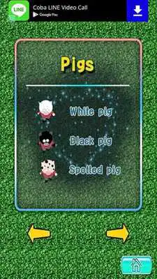 Play Game Ngandang