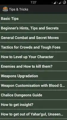Play Gamers Guide for Bloodborne