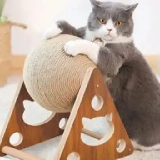 Play Games for Cats - Cat Toy APK Play Games for Cats - Cat Toy APK