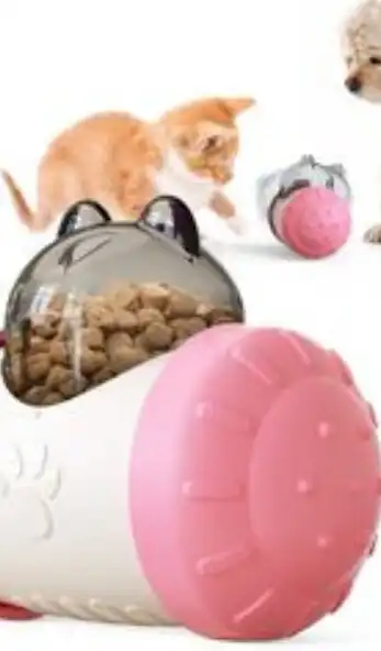 Play Games for Cats - Cat Toy  and enjoy Games for Cats - Cat Toy with UptoPlay