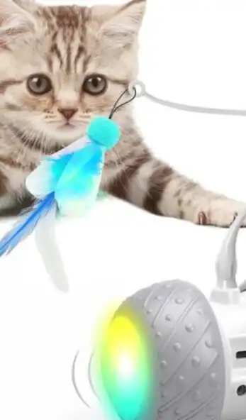 Play Games for Cats - Cat Toy as an online game Games for Cats - Cat Toy with UptoPlay