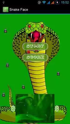 Play Game Snake