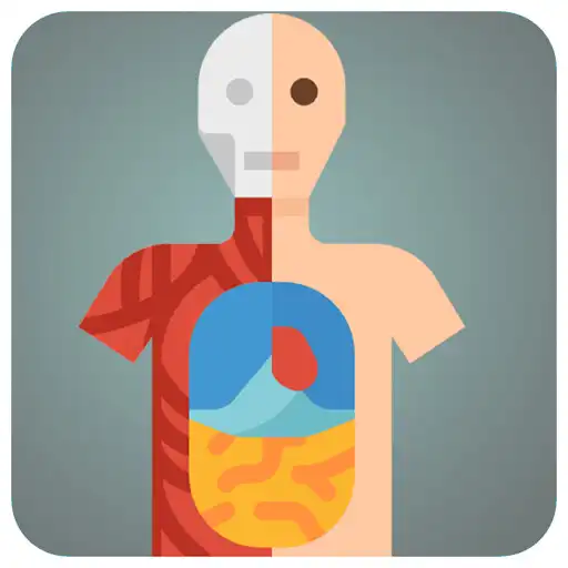 Play Gamifying Anatomy APK