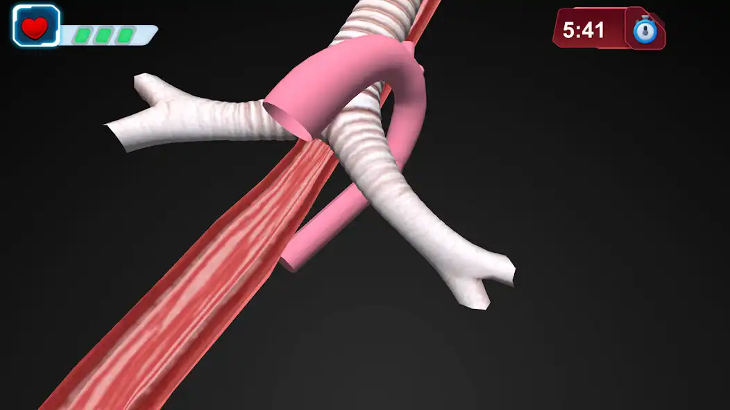 Play Gamifying Anatomy as an online game Gamifying Anatomy with UptoPlay