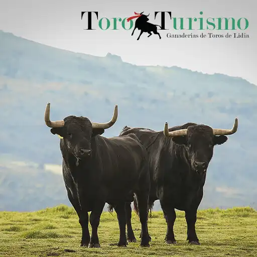 Play Ganaderías de Toros de Lidia APK Play Ganaderías de Toros de Lidia APK