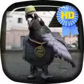 Free play online Gangsta Pigeon Rap LiveWallp APK