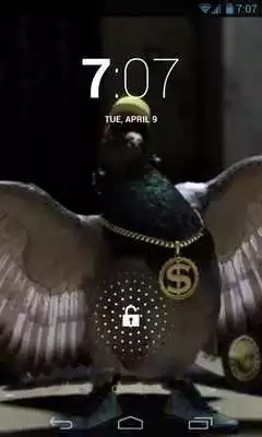 Play Gangsta Pigeon Rap LiveWallp