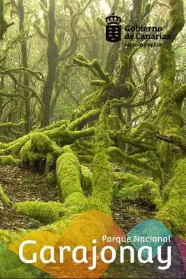 Play Garajonay