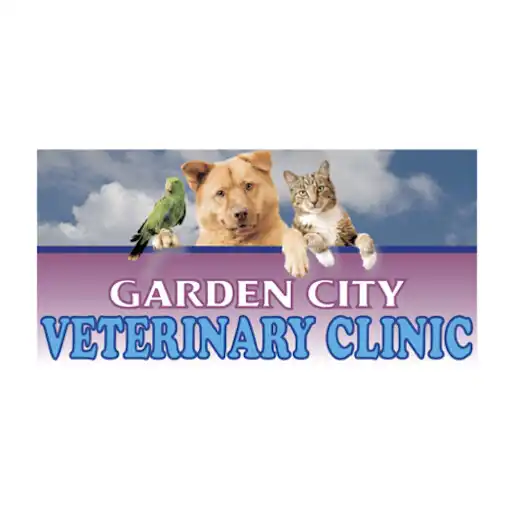 Play Garden City Vet APK