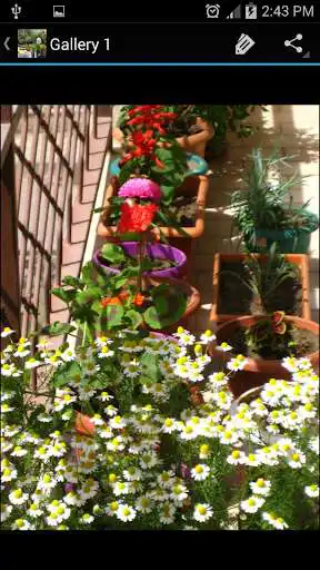 Play Garden Decor as an online game Garden Decor with UptoPlay