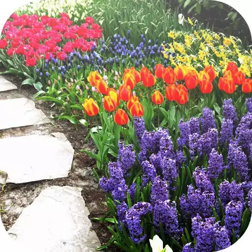 Free play online Garden Design Ideas APK Free play online Garden Design Ideas APK