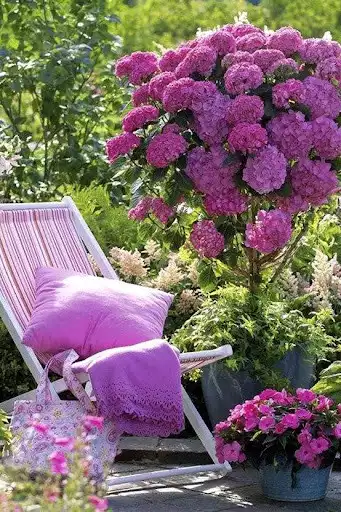 Play Garden Design Ideas