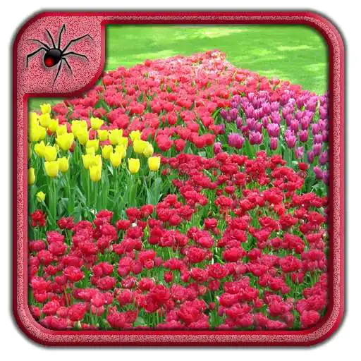 Free play online Garden Flowers Design Ideas APK