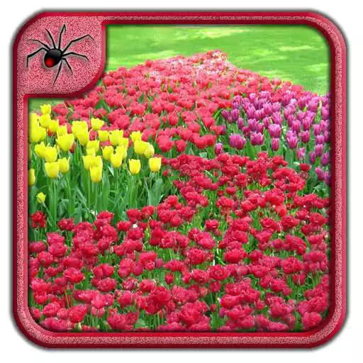 Play Garden Flowers Design Ideas APK Play Garden Flowers Design Ideas APK