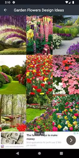 Play Garden Flowers Design Ideas as an online game Garden Flowers Design Ideas with UptoPlay