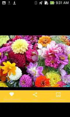 Play Garden Flowers Design Ideas