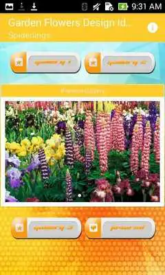 Play Garden Flowers Design Ideas