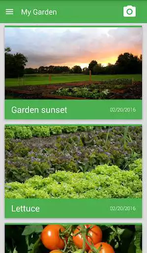 Play Garden Hand  and enjoy Garden Hand with UptoPlay