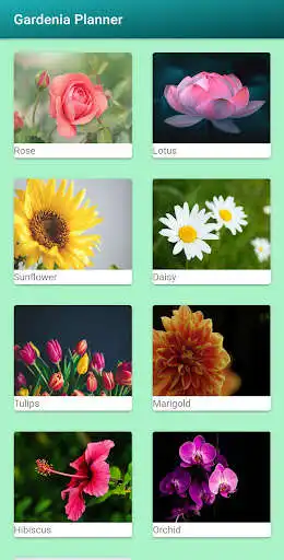 Play Gardenia Planner  and enjoy Gardenia Planner with UptoPlay