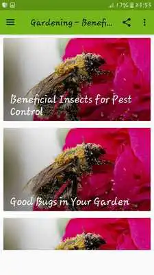 Play Gardening - Beneficial Insects