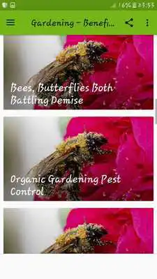 Play Gardening - Beneficial Insects