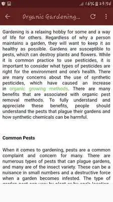 Play Gardening - Beneficial Insects
