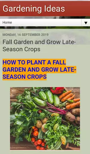 Play Gardening Ideas  and enjoy Gardening Ideas with UptoPlay