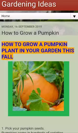 Play Gardening Ideas as an online game Gardening Ideas with UptoPlay