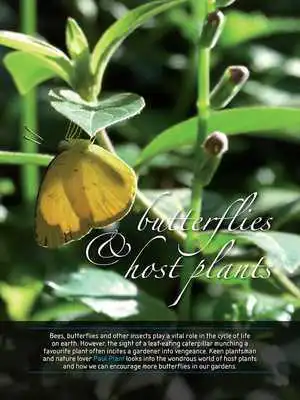Play Gardening Magazine