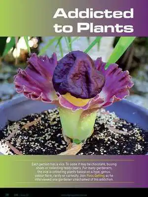 Play Gardening Magazine