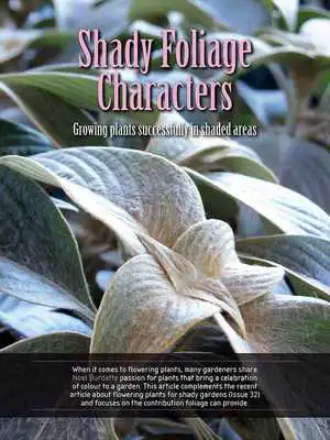 Play Gardening Magazine