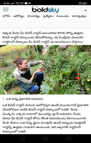 Play Gardening  and enjoy Gardening with UptoPlay
