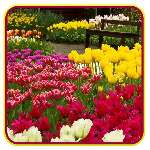 Free play online Garden Live Wallpaper APK