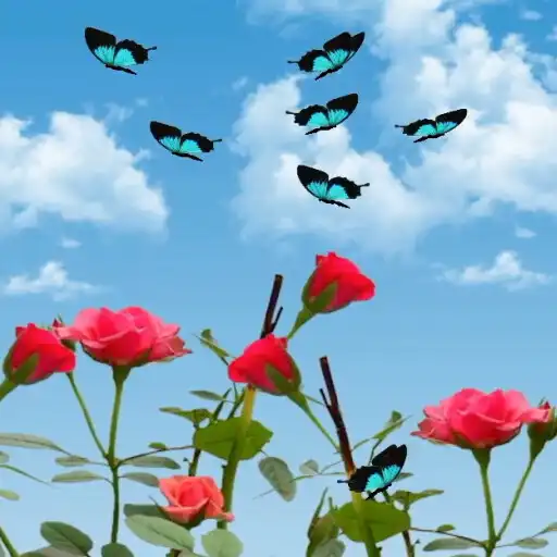Play Garden Live Wallpaper Pro APK Play Garden Live Wallpaper Pro APK