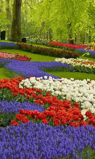 Play Garden Live Wallpaper