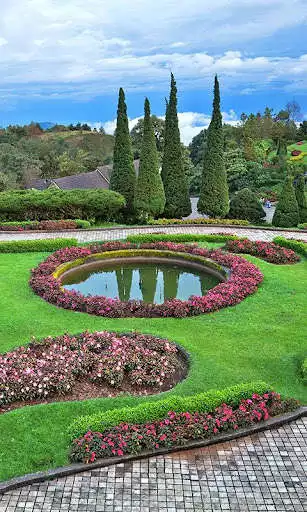 Play Garden Live Wallpaper