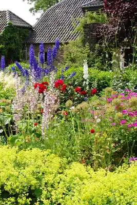 Play Garden Live Wallpaper