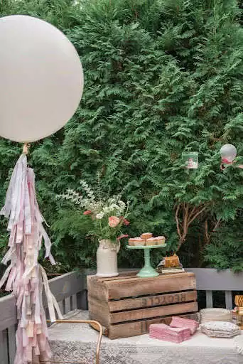 Play Garden Party  and enjoy Garden Party with UptoPlay