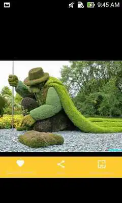 Play Garden Plant Sculptures Design