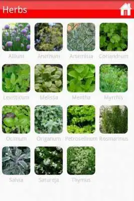 Play Garden Plants Growing Guide Play Garden Plants Growing Guide