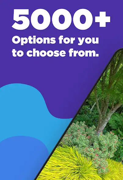 Play Garden Plants Ideas as an online game Garden Plants Ideas with UptoPlay